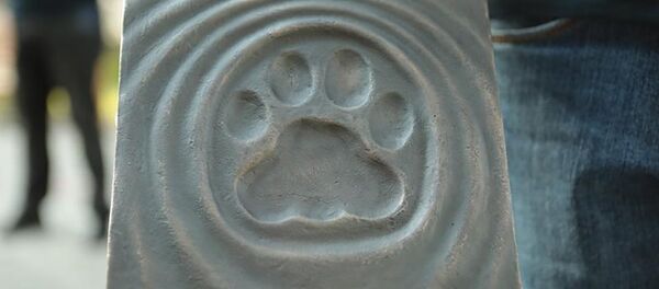 Анатолий Бибилов принял участие в церемонии закладки бронзового оттиска следа кавказского барса Анатолий Бибилов принял участие в церемонии закладки бронзового оттиска следа кавказского барса - Sputnik Южная Осетия