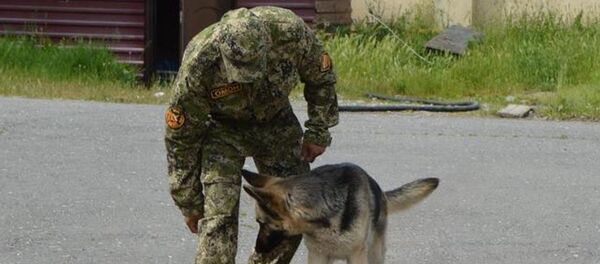 ОМОН проверяет школы Южной Осетии - Sputnik Южная Осетия