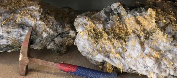 В Австралии нашли огромные золотые самородки - Sputnik Южная Осетия