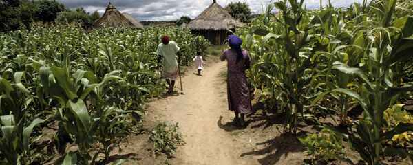 Африка - Sputnik Южная Осетия