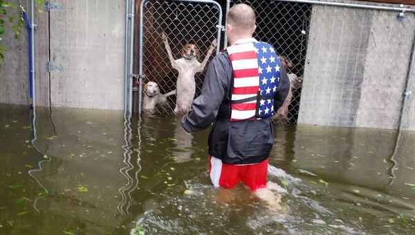 Ураган Флоренс ослаб до тропической депрессии, но риск наводнения в США велик - Sputnik Южная Осетия