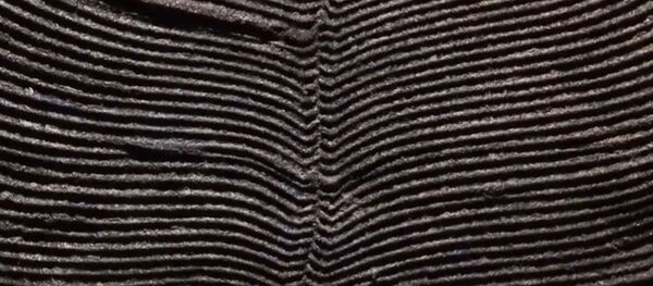 Грааль палеонтологии: на побережье Белого моря найдено древнейшее животное Грааль палеонтологии: на побережье Белого моря найдено древнейшее животное - Sputnik Южная Осетия