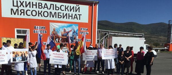 Митинг в поддержку Вадима Ванеева - Sputnik Южная Осетия