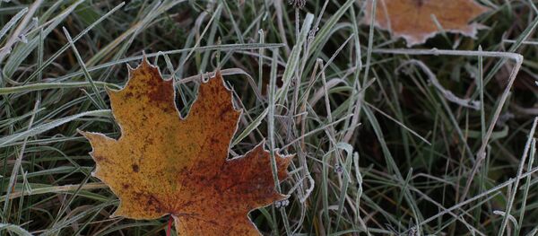 Осенние заморозки - Sputnik Южная Осетия