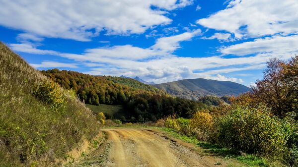 Приграничное село Синагур - Sputnik Южная Осетия