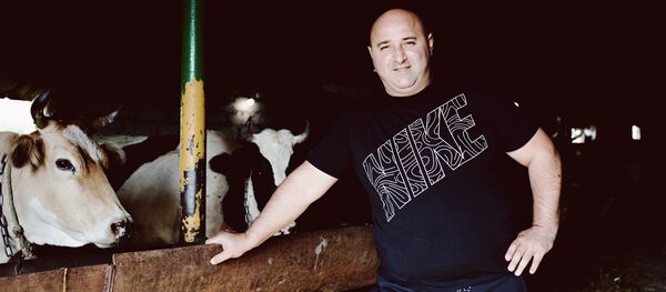 Фермерское хозяйство в Знаурском районе Фермерское хозяйство в Знаурском районе - Sputnik Южная Осетия