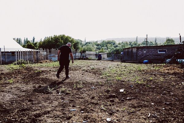 Фермерское хозяйство в Знаурском районе - Sputnik Южная Осетия