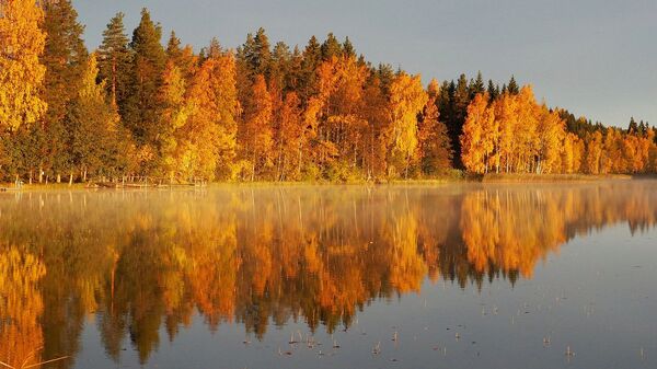 Осенний пейзаж - Sputnik Южная Осетия