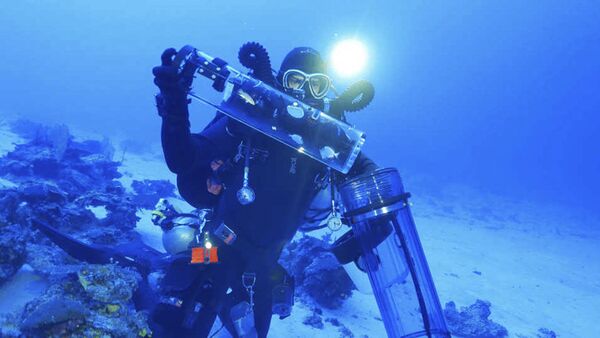 Ученый Барт Шеперд ловит образцы рифовых рыб, живущих на большой глубине - Sputnik Южная Осетия