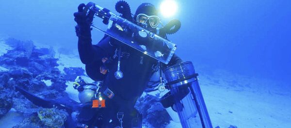 Ученый Барт Шеперд ловит образцы рифовых рыб, живущих на большой глубине Ученый Барт Шеперд ловит образцы рифовых рыб, живущих на большой глубине - Sputnik Южная Осетия