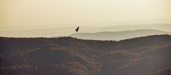 Осень в горах Южной Осетии Осень в горах Южной Осетии - Sputnik Южная Осетия