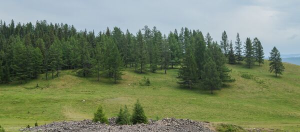 Скифские курганы - Sputnik Южная Осетия