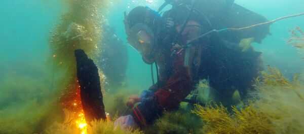 Водолазы обследуют акваторию Черного моря Водолазы обследуют акваторию Черного моря - Sputnik Южная Осетия