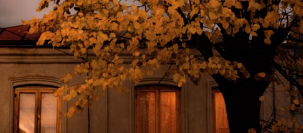 Осень в Цхинвале Осень в Цхинвале - Sputnik Южная Осетия