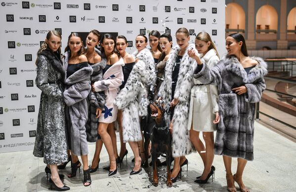 Модели с доберманом перед показом одежды из новой коллекции салона Manzari Gold в рамках недели моды Moscow Fashion Week в Москве - Sputnik Южная Осетия