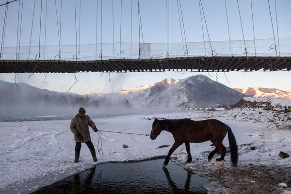 Мужчина привел коня на водопой на реке Катунь близ села Тюнгур в Усть-Коксинском районе Республики Алтай - Sputnik Южная Осетия