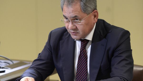 Министр оброны РФ С.Шойгу - Sputnik Южная Осетия