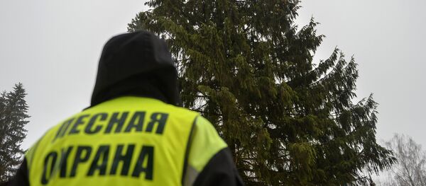 Сотрудник лесной охраны - Sputnik Южная Осетия