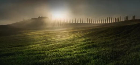 Снимок Combing the Sunlight фотографа Veselin Atanasov, победивший в конкурсе the EPSON International Pano Awards 2018 Снимок Combing the Sunlight фотографа Veselin Atanasov, победивший в конкурсе the EPSON International Pano Awards 2018 - Sputnik Южная Осетия