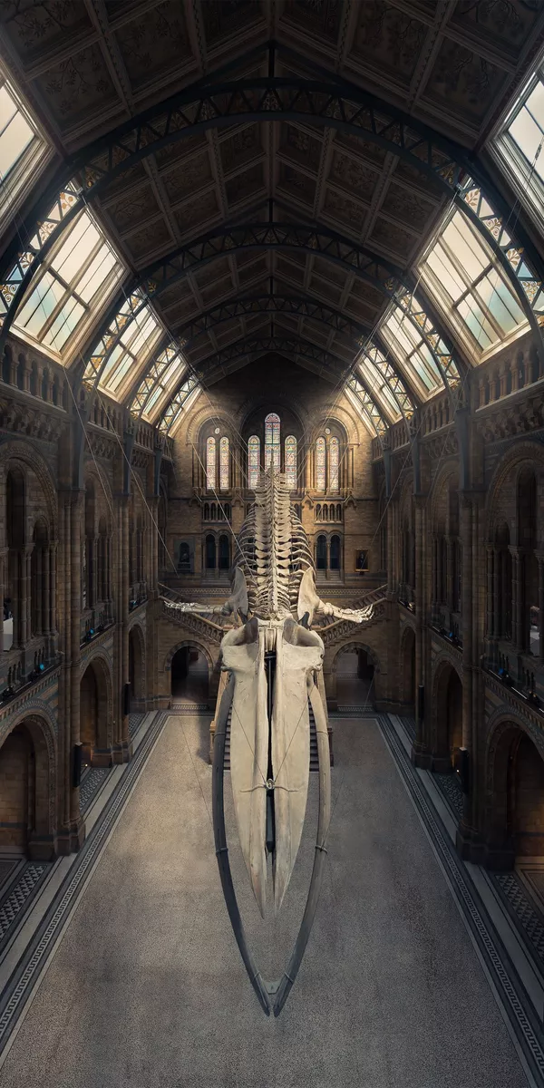 Снимок The Blue Whale фотографа Peter Li, занявший второе место в категории Amateur Built Environment конкурса the EPSON International Pano Awards 2018 Снимок The Blue Whale фотографа Peter Li, занявший второе место в категории Amateur Built Environment конкурса the EPSON International Pano Awards 2018 - Sputnik Южная Осетия