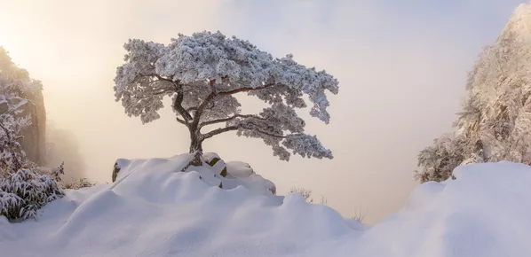 Снимок Royal Ceremony фотографа Nathaniel Merz, победивший в категории Amateur Landscape конкурса the EPSON International Pano Awards 2018 Снимок Royal Ceremony фотографа Nathaniel Merz, победивший в категории Amateur Landscape конкурса the EPSON International Pano Awards 2018 - Sputnik Южная Осетия
