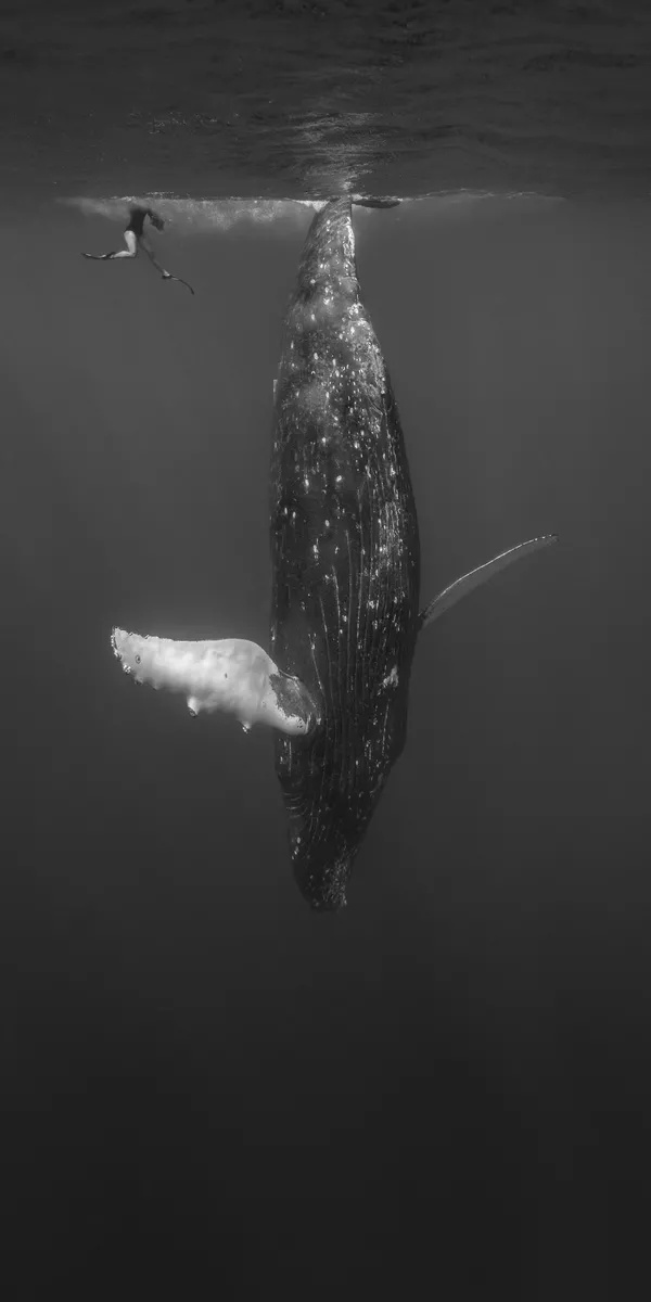 Снимок Just Hangin Out фотографа Kath Salier, вошедший в ТОП-50 категории Amateur Landscape конкурса the EPSON International Pano Awards 2018 Снимок Just Hangin Out фотографа Kath Salier, вошедший в ТОП-50 категории Amateur Landscape конкурса the EPSON International Pano Awards 2018 - Sputnik Южная Осетия