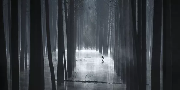 Снимок Las Sombras Del Pantano фотографа Mariano Belmar Torrecilla, вошедший в ТОП-50 категории Open Built Environment конкурса the EPSON International Pano Awards 2018 Снимок Las Sombras Del Pantano фотографа Mariano Belmar Torrecilla, вошедший в ТОП-50 категории Open Built Environment конкурса the EPSON International Pano Awards 2018 - Sputnik Южная Осетия
