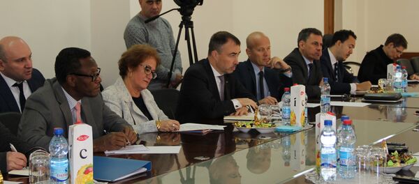 Встреча представителей РЮО с сопредседателями женевских дискуссий - Sputnik Южная Осетия