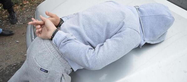 Сотрудники МВД задержали за хранение арсенала оружия ранее судимого жителя республики - Sputnik Южная Осетия