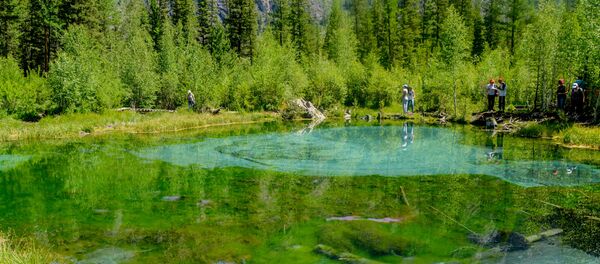 Алтай Ланы Чибировой Алтай Ланы Чибировой - Sputnik Южная Осетия