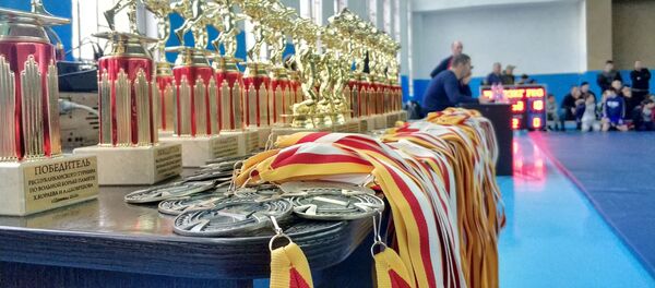 Дыууæ цхинвайлаг богал рамбылдтой ерыстæ Цæгат Иры - Sputnik Хуссар Ирыстон