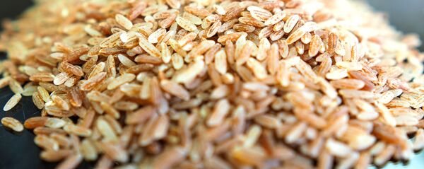 Выращивание риса в Краснодарском крае Выращивание риса в Краснодарском крае - Sputnik Южная Осетия