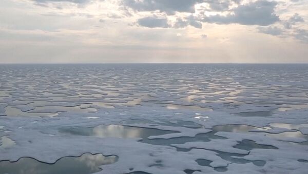 Льды Антарктиды стремительно тают - Sputnik Южная Осетия