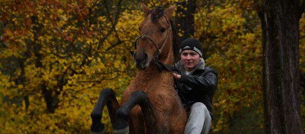 Скачки на лошадях в Южной Осетии Скачки на лошадях в Южной Осетии - Sputnik Южная Осетия