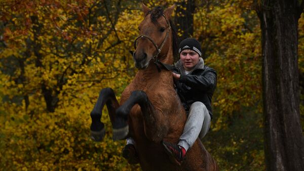 Скачки на лошадях в Южной Осетии - Sputnik Южная Осетия