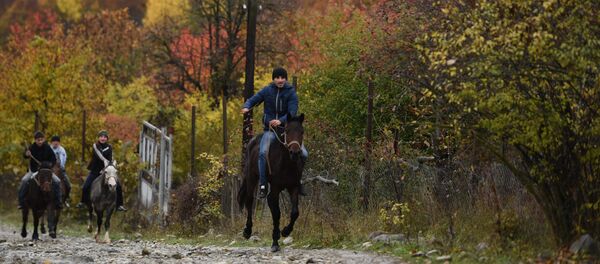 Бӕхты дугътӕ Хуссар Иры. Уӕлахизмӕ тырны алы барӕг дӕр - Sputnik Хуссар Ирыстон