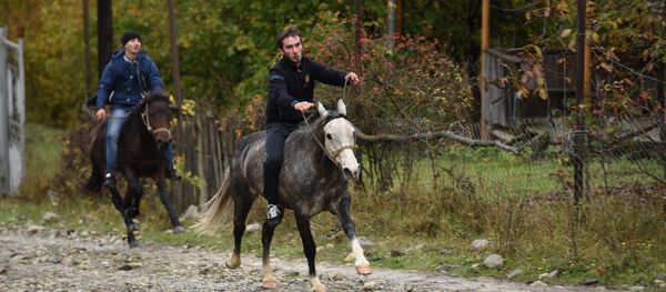 Скачки на лошадях - Sputnik Хуссар Ирыстон