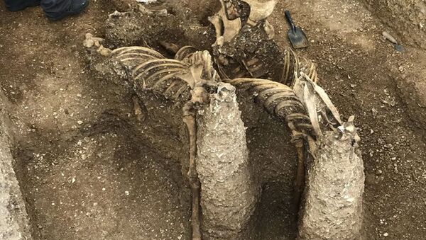 В Великобритании найдены загадочные доисторические скелеты - Sputnik Южная Осетия