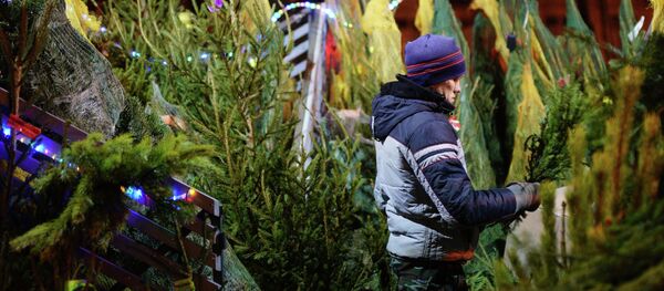 Елочный базар возле станции метро Шаболовская в Москве. Елочный базар возле станции метро Шаболовская в Москве. - Sputnik Южная Осетия