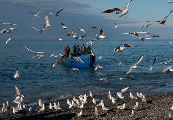 Рыбаки возвращаются после ловли рыбы в Черном море, Сочи - Sputnik Южная Осетия