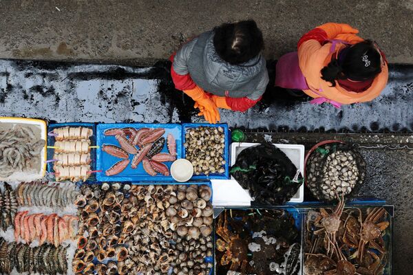 Прилавок с рыбой на рыбном рынке Норянджин в Сеуле - Sputnik Южная Осетия