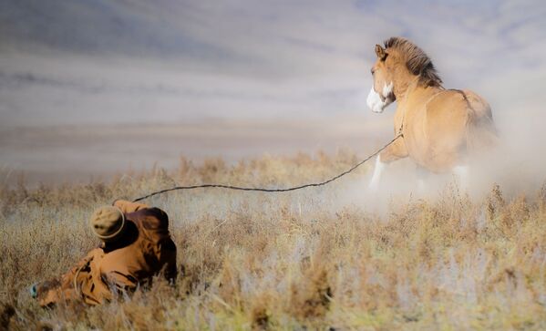 Монгольский пастух с конем - Sputnik Южная Осетия