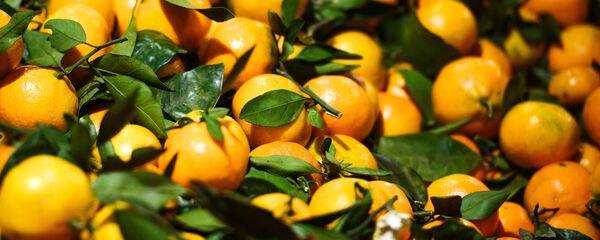 Мандарин Мандарин - Sputnik Южная Осетия