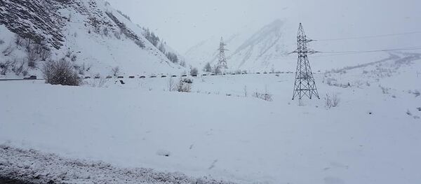 Транскам Транскам - Sputnik Южная Осетия