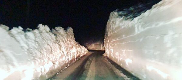 Пионерка Пионерка - Sputnik Южная Осетия