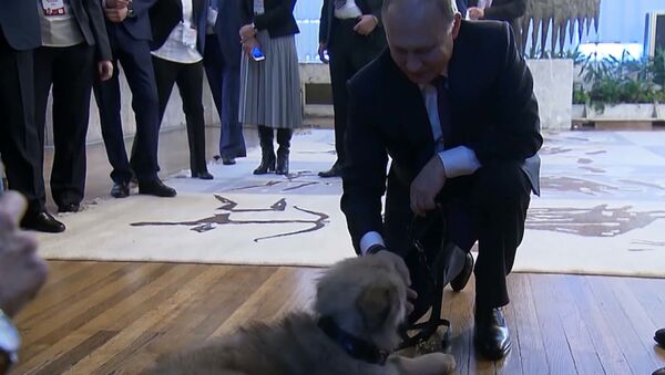 Путин получил в подарок щенка от президента Сербии - Sputnik Южная Осетия