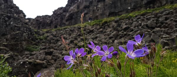 Страны мира. Исландия - Sputnik Южная Осетия