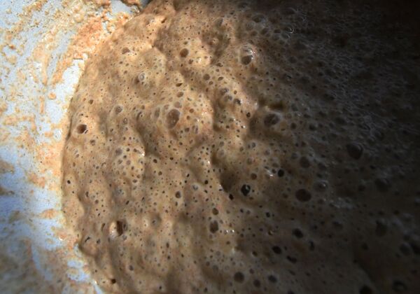 Закваска для теста в пекарне Хлеб-отец - Sputnik Южная Осетия