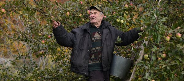 Что такое осень? Что такое осень? - Sputnik Хуссар Ирыстон