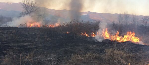 Пожар Пожар - Sputnik Южная Осетия